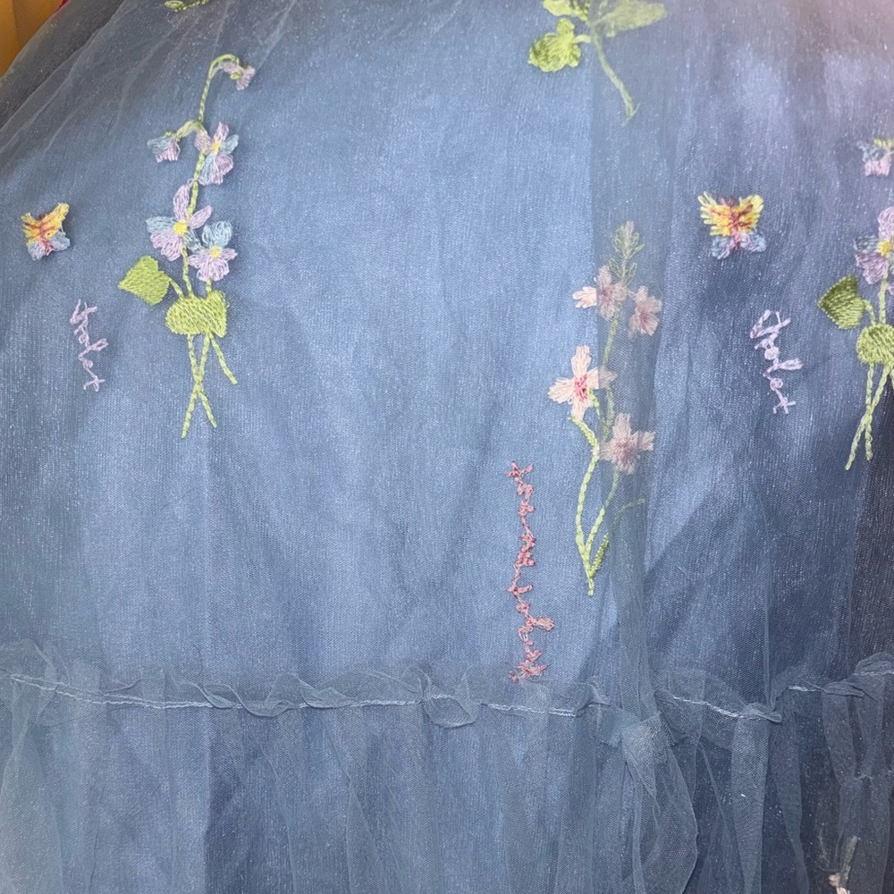 Floral Embroidered Blue Dress - Picture 2 of 11